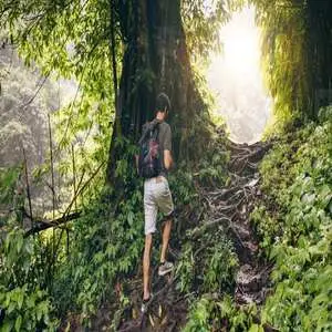 Jungle Trekking