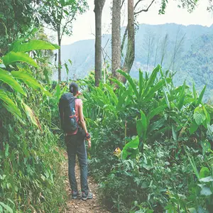 Activities at Dandeli