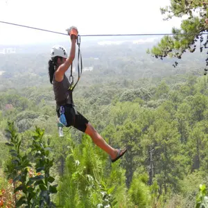 Zipline